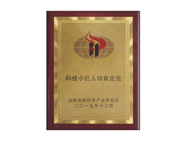 企业荣誉-合肥燕美新材料,合肥燕美新材料科技有限公司-家电行业粉末涂料,汽车粉末预料,MDF粉末涂料